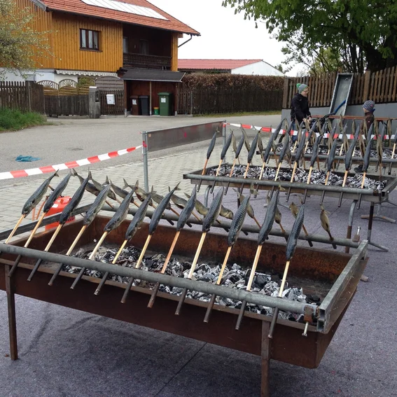 Bild 2.JPG